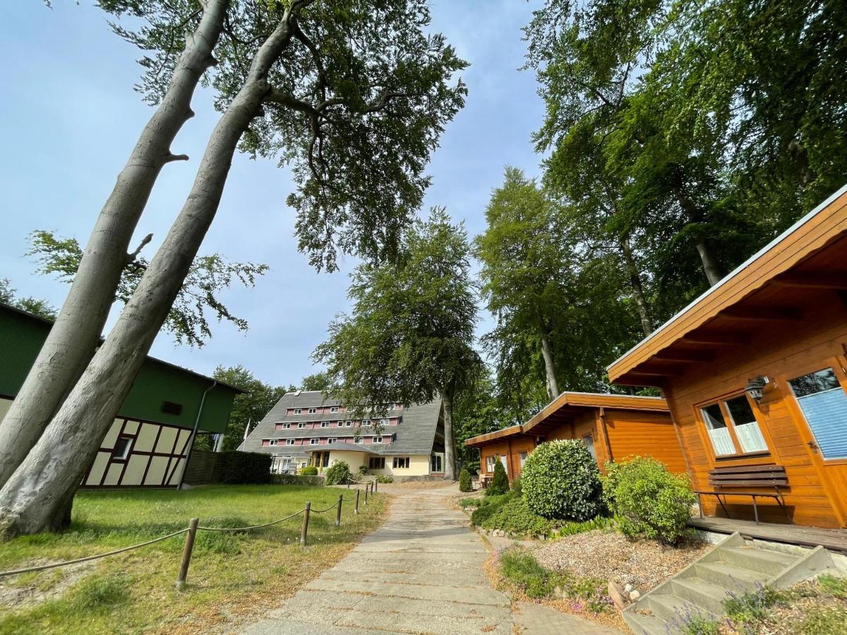Forsthaus Langenberg 호텔 제바트헤링스도르프 외부 사진
