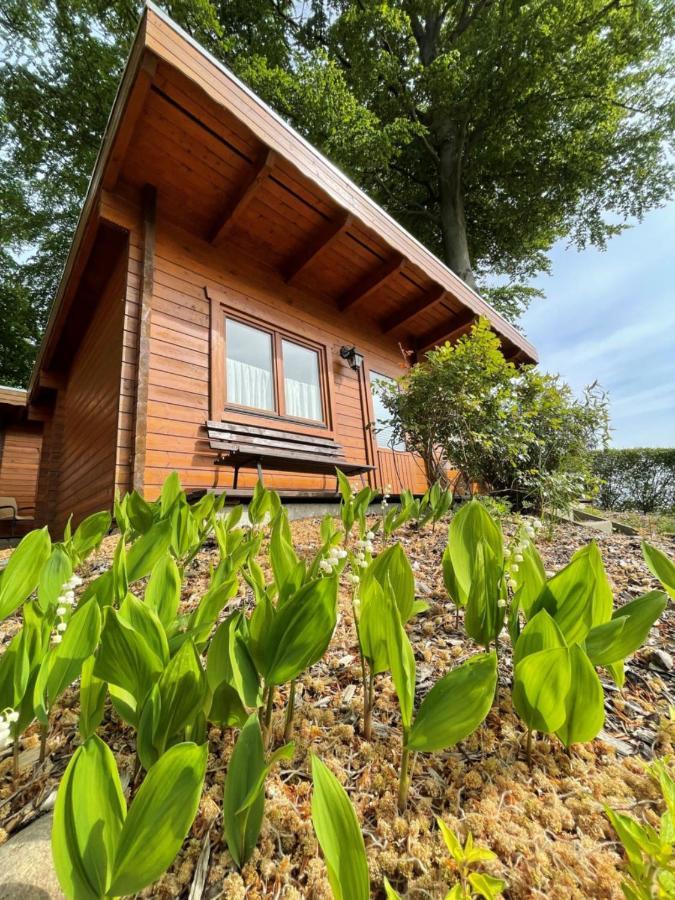 Forsthaus Langenberg 호텔 제바트헤링스도르프 외부 사진